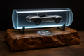 Dax Cobra – zwevend in epoxy op rustiek hout